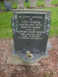 image of grave number 258362